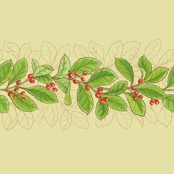 Yerba mate pattern Stock Illustration