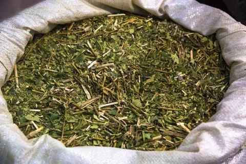 Yerba mate tea Stock Photos
