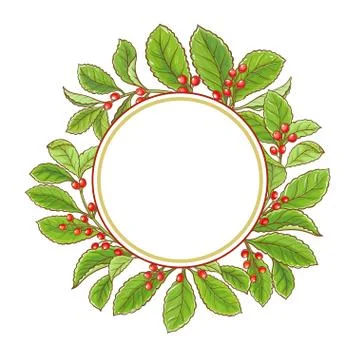 Yerba mate vector frame Stock Illustration