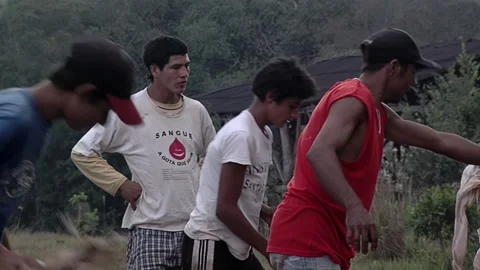 Yerba Mate Workers Distributing Bags Before Harvest in Plantation, Argentina  Vídeo Stock 153765469