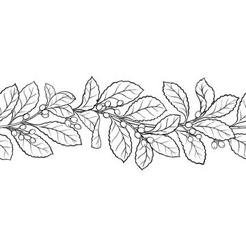 Yerba Outline Horizontal Seamless Pattern. Stock Illustration