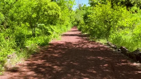 Yerevan Botanical Garden Stock Footage 303616560