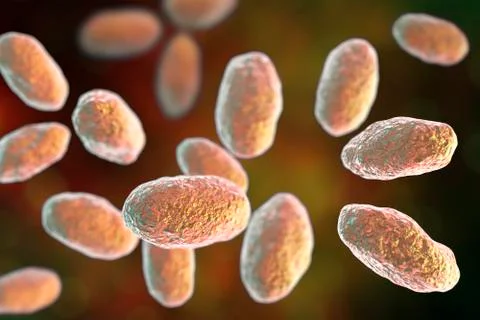 Yersinia pseudotuberculosis bacteria Stock Illustration