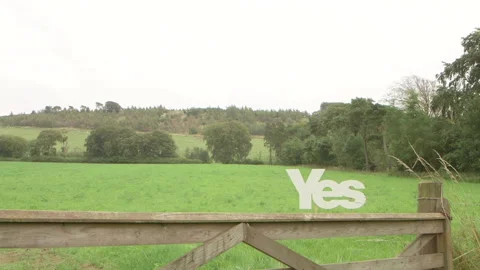 Yes sign on field 2 Vidéo 144296455