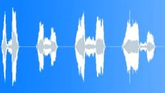 Yes sir male confirmationSound Effect