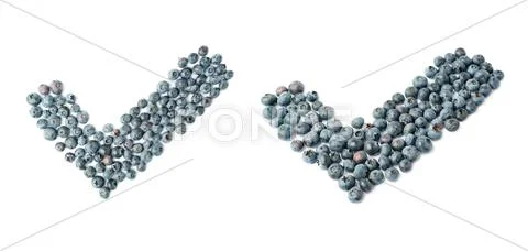 Yes tick sign symbol mark made of Bilberry or blueberry over isolated white Stock Photos
