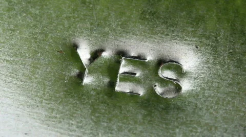 Yes1 Stock Footage 877551