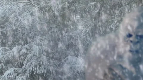 Yeti Close Up - Blizzard Wilderness Stock Footage
