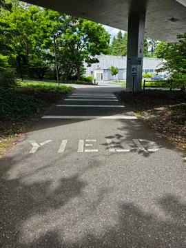 Yield Marking on Multiuse Trail Crossing in Aubrey Davis Park, Mercer Islan.. Stock Photos