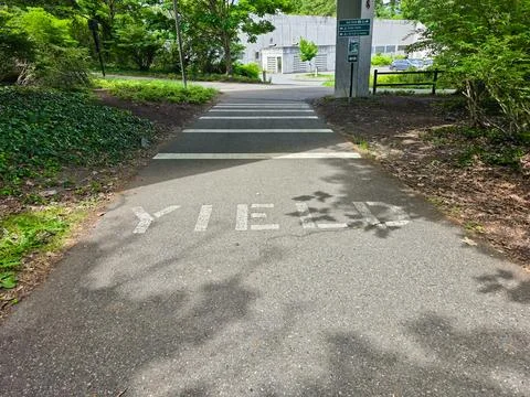Yield Marking on Multiuse Trail Crossing in Aubrey Davis Park, Mercer Islan.. Stock Photos