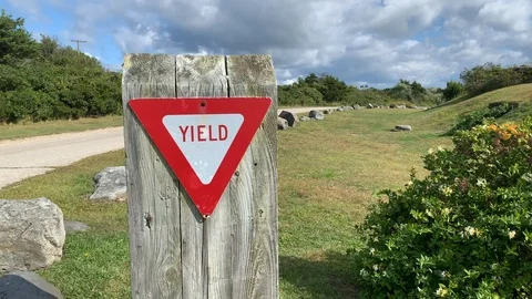 Yield Road Sign with Walking Path and Nature in Background Stock Footage 116196396