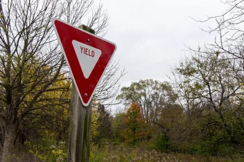 Yield sign in front of fall trees Stock Photos