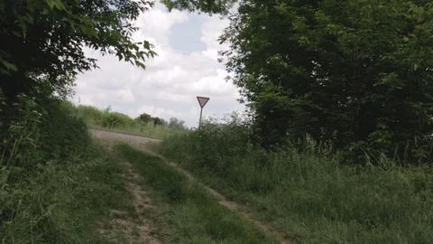 Yield Stop Triangle Sign in the Nature Stock Footage 100191023