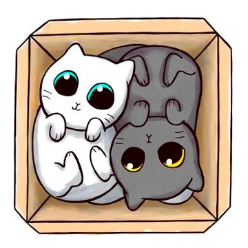 Yin Yang cats inside a box Stock Illustration