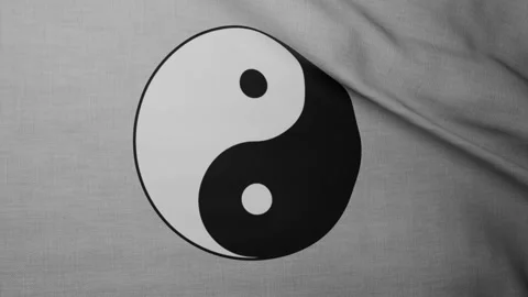 Yin yang flag Stock Footage 262481161