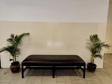 Ymmetrical interior scene featuring a dark leather Stock Photos