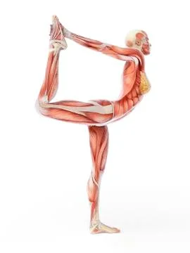 Yoga, artwork Stock Illustration