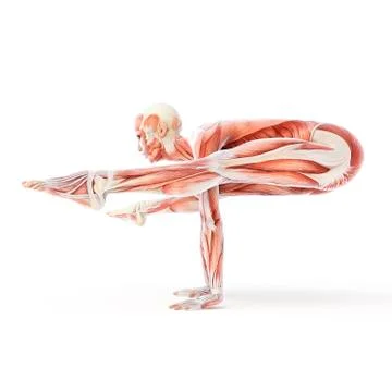 Yoga, artwork Stock Illustration