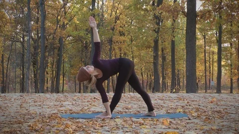 Yoga in autumn forest Stock-Footage 86739786