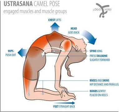 Yoga-camel pose Stock Illustration