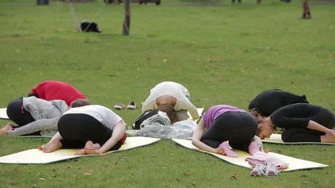 Yoga Class in Park Stock Footage 88337871