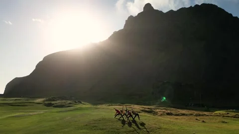 Yoga class at sunset, happy diverse group of young people practicing yoga Stock Footage 256446541