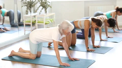 Yoga classes - group of women of different ages in the cat pose in a light gym Stock Footage 330039136