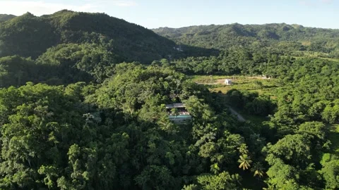 YOGA DRONE LANDSCAPE4 動画素材 311485161