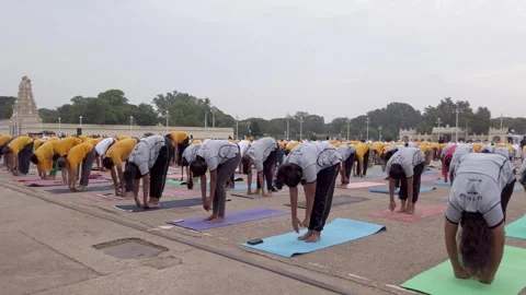 Yoga exercise at Mysore Palace during International Yoga day in India. Vidéo 244321662