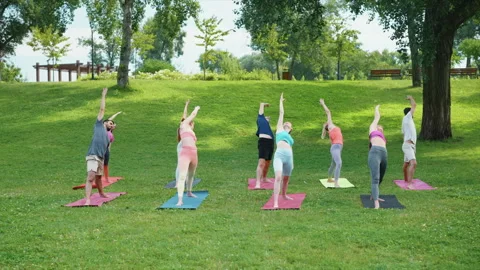 Yoga Group Practicing in Lush Park Stock Footage 273885846