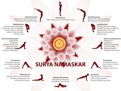 Yoga infographics, Surya Namaskar sequence Stock Illustration
