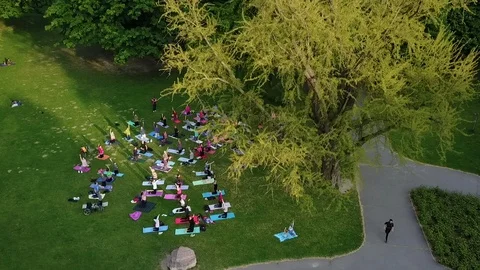 Yoga Lesson at Park Vídeos de archivo 92618001