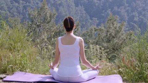 Yoga In The Nature Stock Footage 107079598