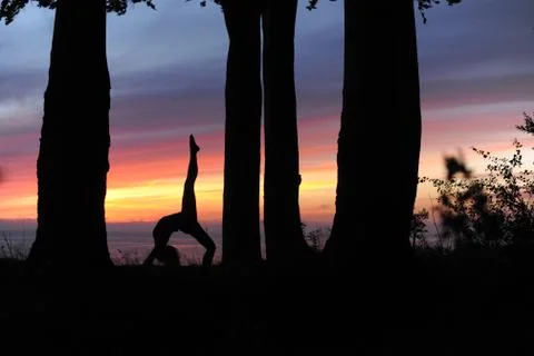 Yoga Stock Photos