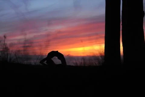 Yoga Stock Photos