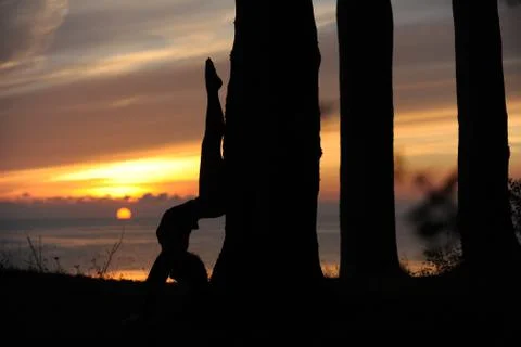 Yoga Stock Photos