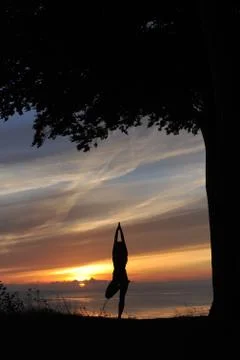 Yoga pose tree Stock Photos