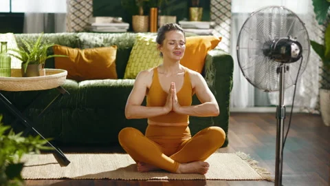 Yoga Practice in a Cooled Home Environment 動画素材 336343541