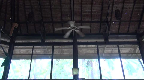 Yoga studio in paradise Video stock 40055646