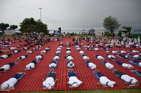 Yoga at summer park. Stock Photos