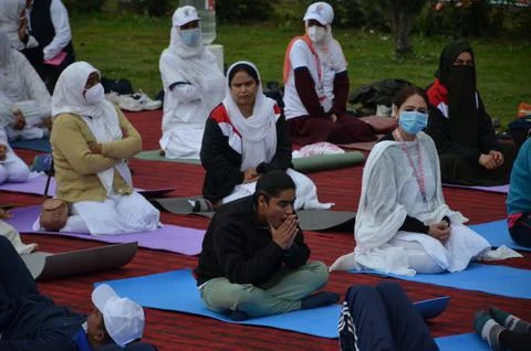Yoga at summer park. Stock Photos