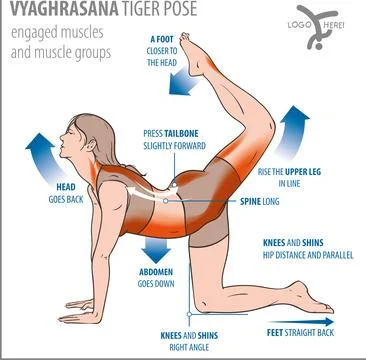 Yoga-tiger pose Stock Illustration