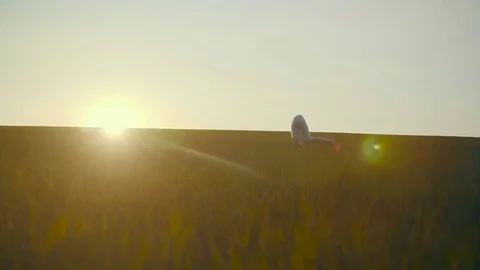 Yoga VI Stock Footage 74578876