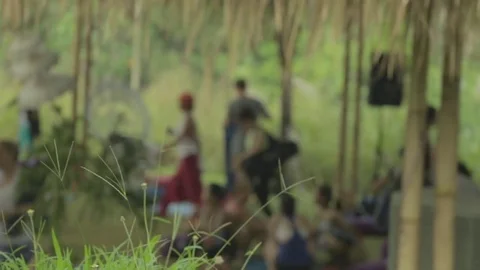 Yoga workshop in nature, soft focus. Stock Footage 82329138