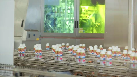 Yoghurt Bottles On Conveyor. Working Packaging Machine. Milk Production Line. Video stock 155410432