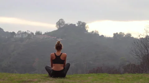 Yogi 1 Stock Footage 59153669