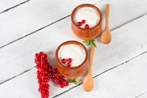 Yogurt with red currant Stock Photos