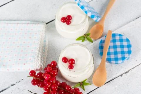 Yogurt with red currant Stock-Fotos