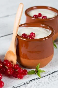 Yogurt with red currant Stock-Fotos