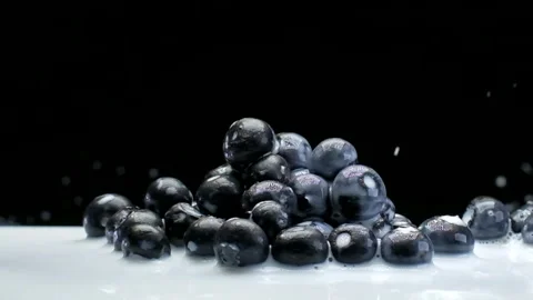 A Yogurt splash in front of Blueberry Stock Footage 148074670